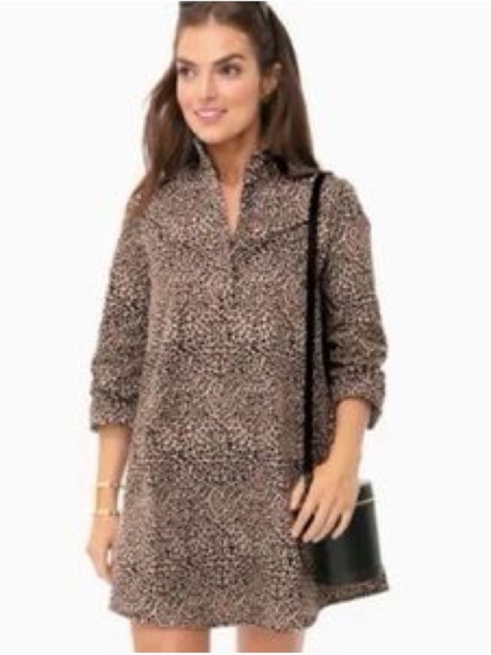 Tuckernuck Megan Taffeta Dress Leopard Print | Size Small